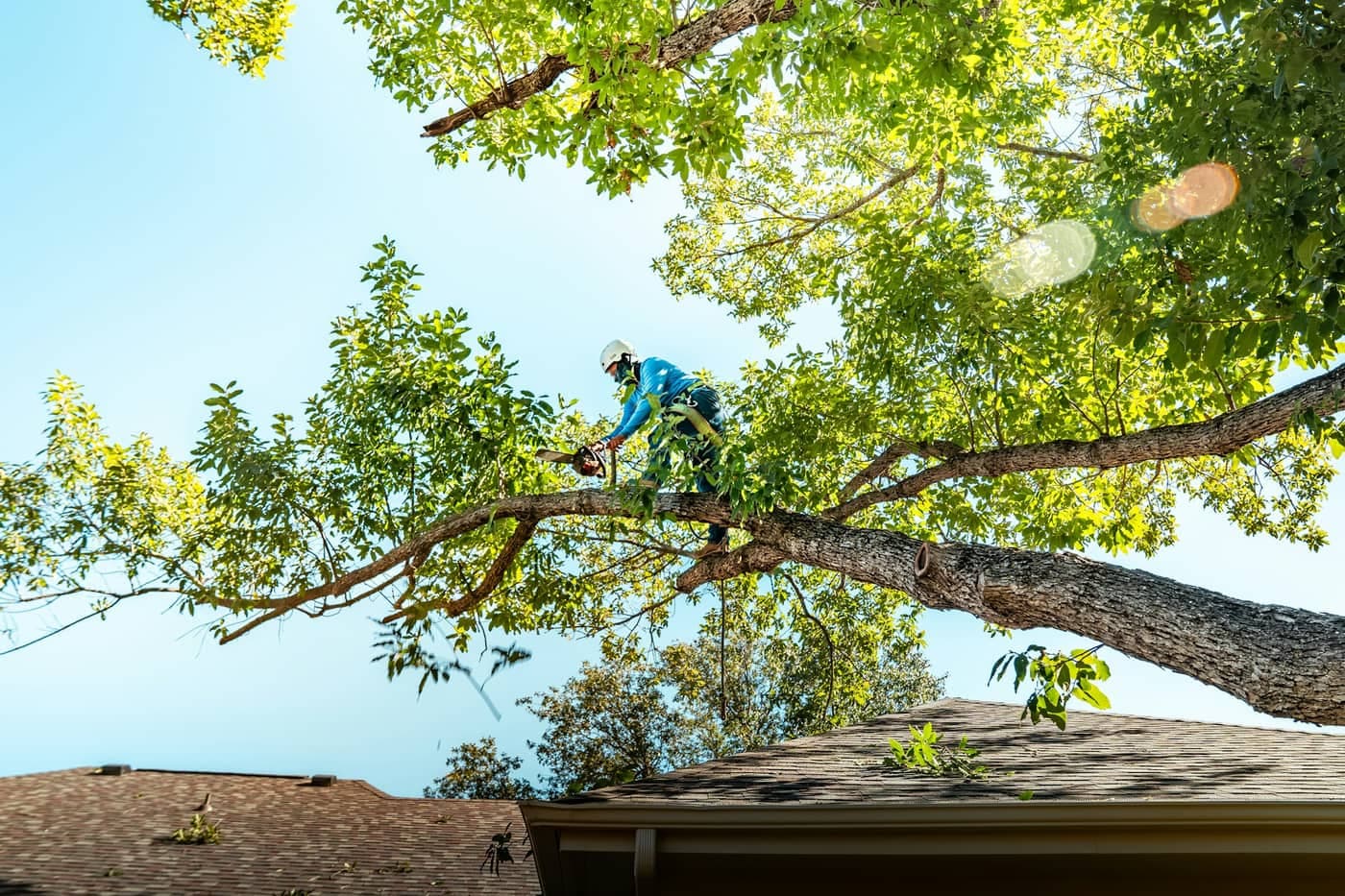 wagner's tree service, fencing & land clearing